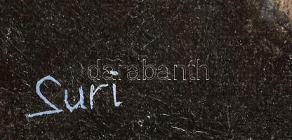 Suri jelzéssel: Indián törzsfőnök. Olaj, vászon. Dekoratív fakeretben. 40x30 cm