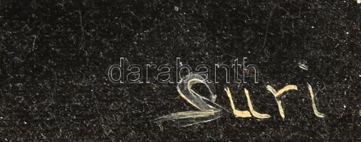 Suri jelzéssel: Indián törzsfőnök. Olaj, karton. Dekoratív fakeretben. 30x25 cm