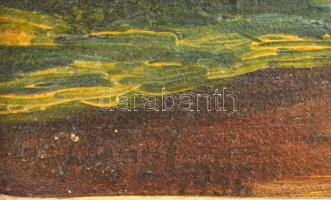 Olvashatatlan jelzéssel: Hazafelé. Olaj, vászon. Dekoratív, sérült fakeretben. 25x35 cm