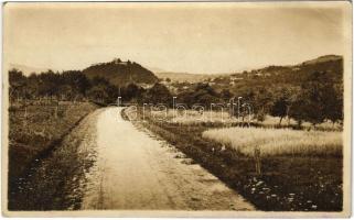 Kisdisznód, Michelsberg, Cisnadioara; út a várhoz / road to the castle ruin. photo (EK)