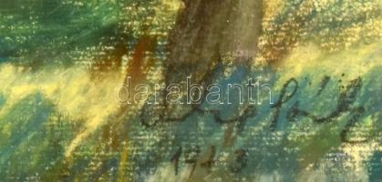 Csikó Sándor (?-): Kert, 1973. Olajpasztell, papír, jelzett, karton hátlap belső oldalán feliratozot...