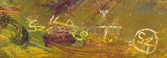 Szőke Tibor (1961-): Borús idő (Út Tiszapüspökibe). Olaj, vászon. Jelzett. Hátoldalán autográf felir...