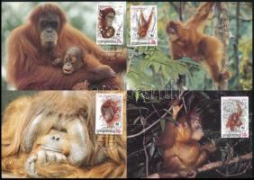 WWF: Orangutan set on 4 CM Mi 1291-1294, WWF: Orangután sor 4 db CM-n Mi 1291-1294