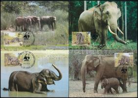 WWF: Ceyloni elefánt sor 4 db CM-n Mi 753-756, WWF: Sri Lankan elephant set on 4 CM Mi 753-756