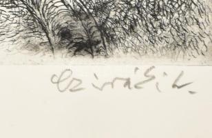 Cziráki Lajos (1917-2003): Fertőd, Esterházy kastély. Jelzett 20x30 cm