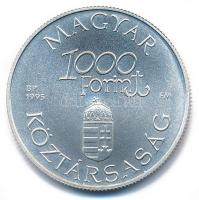 1995. 1000Ft Ag "Régi dunai hajók III - Hableány" kapszulában T:BU Adamo EM139