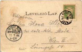 1901 Stószfürdő, Stoósz-fürdő, Kúpele Stós; látkép, villa. Wlaszlovits Gusztáv kiadása / villa, spa ...