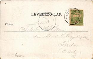 1902 Stubnyafürdő, Túróchévíz, Stubnianske Teplice, Turcianske Teplice; Zöld tükörfürdő / spa (fa)