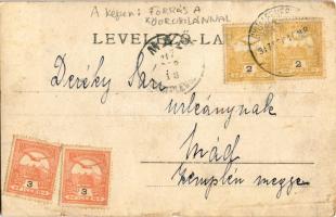 1917 Gyulafehérvár, Alba Iulia; Forrás a kőoroszlánnal / spa, spring source. photo (fa)