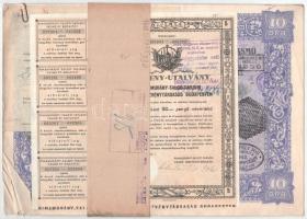 Budapest 1925. "Rimamurány-Salgó-Tarjáni Vasmű Részvény-Társaság" tíz részvénye egyenként 50P-ről, összesen 500P-ről (2x) sorszámkövetők, szárazpecséttel és bélyegzésekkel, szelvényekkel, mellette a "Budapesti Giro- és Pénztár-egylet Részvénytársaság" igazolása + 1946. "A Rimamurány-Salgó-Tarjáni Vasmű Részvénytársaság" részvény utalványa, kötegelővel T:VF