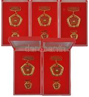 ~1970-1980. "A Magyar Népköztársaság Kiváló Brigádja - Szocialista Brigád" (5x) aranyozott, műgyantás jelvények miniatűrrel, eredeti tokokban T:AU