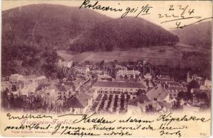 1901 Trencsénteplic, Trencianske Teplice; látkép / general view (EK)