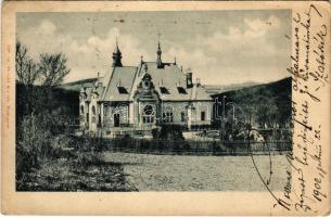 1902 Budapest (?), villa. Divald Károly 308. sz. (EK)