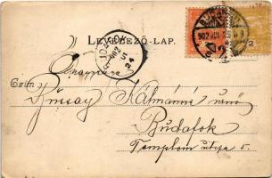 1902 Budapest (?), villa. Divald Károly 308. sz. (EK)