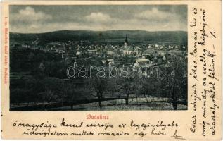 1901 Budakeszi, látkép. 1sz. Hatschek Emil kiadás (Rb)
