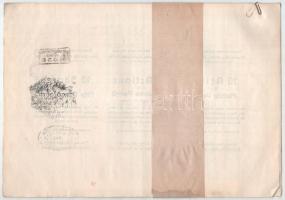 Budapest 1925. "Rimamurány-Salgó-Tarjáni Vasmű Részvény-Társaság" tíz részvénye egyenként ...