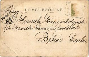 1903 Budakeszi, Erzsébet királyné szanatórium, Sütkérező bódé. photo (EB)