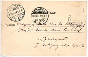 1903 Érd, dunai úszó hajómalom, Fő utca. Stiegler Testvérek kiadása (Rb)