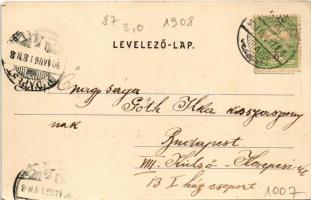 1904 Orosháza, Kossuth tér, Alföld szálloda. Pless N. kiadása. Keresztes amateur felvétele (EK)