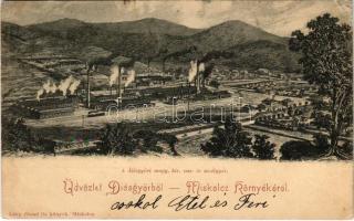1900 Diósgyőr (Miskolc), M. kir. vas és acélgyár. Lövy József fia kiadása (EK)