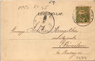 1903 Visegrád, látkép. Zoller József kiadása (kis szakadás / small tear)