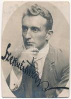 1927 Budai Hővizű Strandfürdő szekrény bérletjegy, fényképes, 9x6 cm