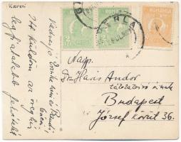 1921 Szamosújvár (Gherla), Erdély, gyógyszertár bejárata, körbevágott fotólap, megírva és postázva, ...