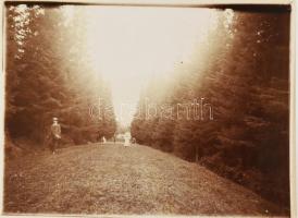 cca 1920 Tusnádfürdő (Băile Tusnad) és környéke, erdélyi kirándulás felvételei, 17 db fotó, 12x9 cm