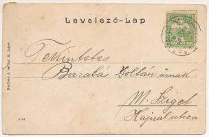 1910 Tiszaborkút, Kvaszi, Kvasy (Máramaros); utca. Kaufman Á. és fiai kiadása / street (szakadás / t...