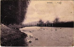 1909 Ipolyság, Sahy; Ipoly folyópart. Neumann kiadása / Ipel riverside (EK)