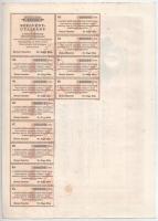 Makó 1929. "Makói Népbank Részvénytársaság" részvénye 50P-ről szelvényekkel, szárazpecsétt...