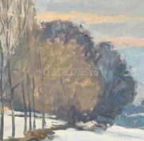 Holba Tivadar (1906-1995): Téli Dunapart. Olaj, farost, jelzés nélkül. Hátoldalán Képcsarnok Vállala...