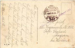 1918 Vatra Dornei, Dornavátra, Bad Dorna-Watra (Bukovina, Bukowina); Kuranlagen / spa alley next to ...