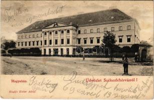 1902 Székesfehérvár, Megyeház. Kiadja Eisler Adolf (fl)