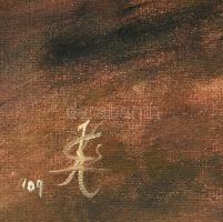 Kakucsi Csernák Zoltán (1976-): Dunai Hajnal. Olaj, karton. Jelzett. Dekoratív fakeretben. 60x80 cm