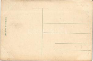 Bodrogolaszi, Gróf Lónyay kastély, MÁV vasútállomás, vonat, római katolikus templom. Szabó János kia...