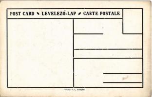 Temesvár, Timisoara; Magyar, német,román (oláh) és szerb nemzetiségek népesség aránya. Címer, Pátria...
