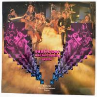 Neoton Family - Sunflower, Vinyl, LP, Album, Stereo, 1980 Magyarország (VG a lemez enyhén görbült, valamint a tok kissé viselt)