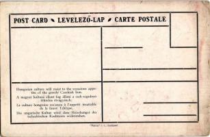 Kassa, Kosice; A magyar kultúra ellent fog állani a cseh ragadozó féktelen étvágyának. Irredenta, Pá...