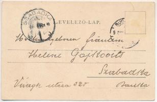 1900 Kiskunfélegyháza, Félegyháza; villa. Feuer Illés kiadása (ázott / wet damage)