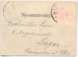 1901 Pozsony, Pressburg, Bratislava; Városi színház, villamos megálló. Duschinsky G. 137. k. / theat...