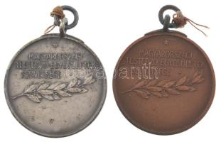 Damkó József (1872-1955) / Exner Károly (1850-1919) DN "Magyarországi Testedző-Egyesületek Szöv...