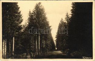 Tusnádfürdő, Baile Tusnad; út / road, spa. Fotograf Adler photo (EK)