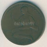 1925. "Jókai születésének 100. évfordulója" Br emlékérem, szign.Berán Lajos T:3