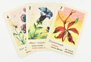 Virág kvartett kártyajáték, teljes, leírással, dobozában