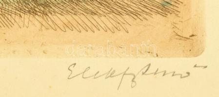 Elekfy Jenő (1895-1968): Alkonyat. Színezett rézkarc, papír, jelzett, lap széle kissé foltos, üvegez...