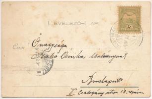 1904 Nagymágocs, Cs.-Mágocs; ipar vasút gőzmozdonya, vonat (ázott / wet damage)