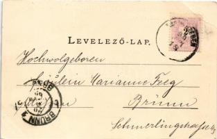 1899 (Vorläufer) Nagyszeben, Hermannstadt, Sibiu; Disznódi, Erzsébet és Vár kapu / Heltauerthor, Eli...