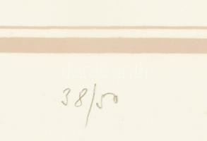 Olvashatatlan jelzéssel: Vitorlás. Szitanyomat, papír. Számozott: 38/50. Lap széle kissé foltos, lap...