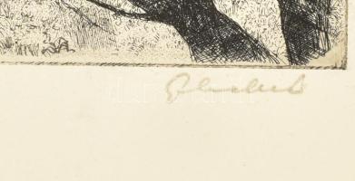 Gy. Molnár István (1933-2010): Tavasz. Rézkarc, papír, jelzett, 20x29,5 cm. Lapszéli szakadással. Ki...